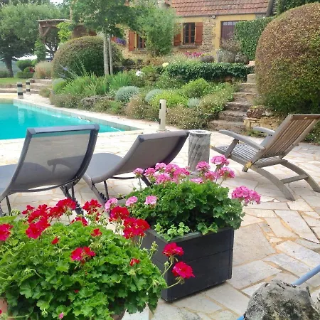 Captivating Holiday In With Swimming Pool *